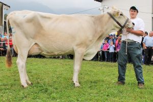 141003Sarnen 043